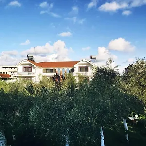 Kasa Dıraç